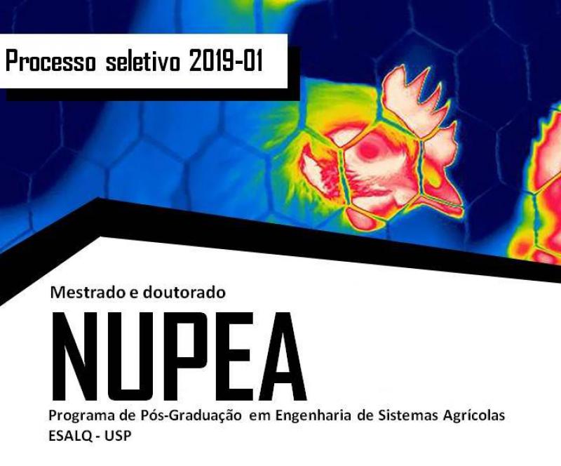 Processo de Seleção para Mestrado e Doutorado junto ao time do NUPEA/ESALQ