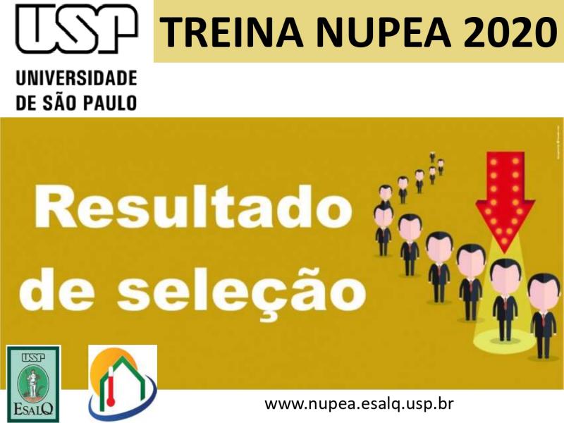Resultado do Processo de Selelçáo TREINA NUPEA 2020 - 2 chamada